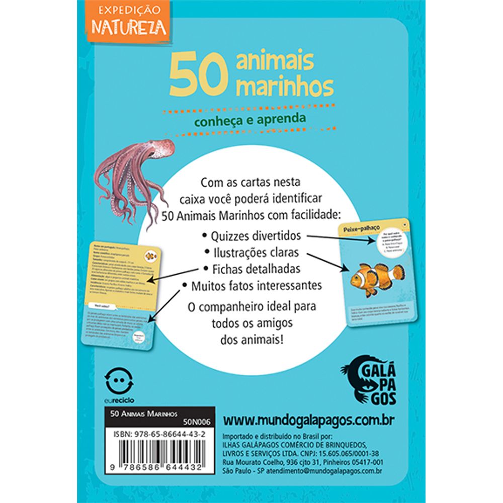 Jogo 50 Animais Marinhos - Asmodee - Imagem 3