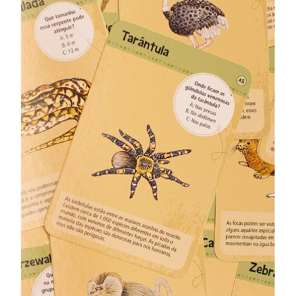 Jogo 50 Animais de Zoológico - Asmodee - Imagem 2