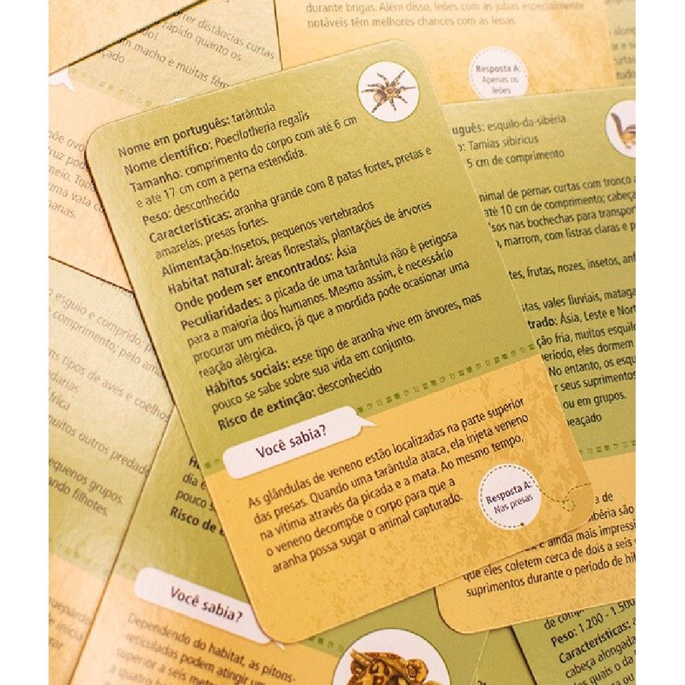 Jogo 50 Animais de Zoológico - Asmodee - Imagem 3