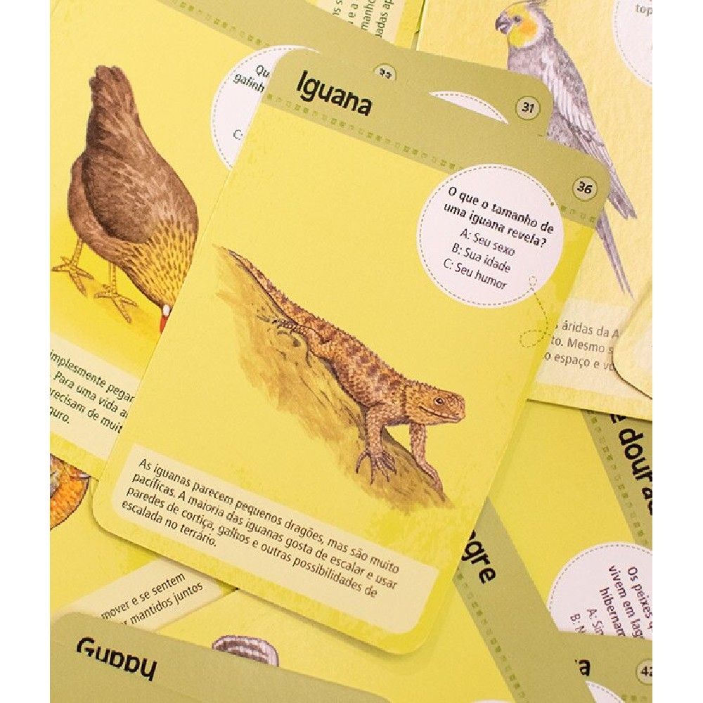 Jogo 50 Bichos de Estimação - Asmodee - Imagem 2