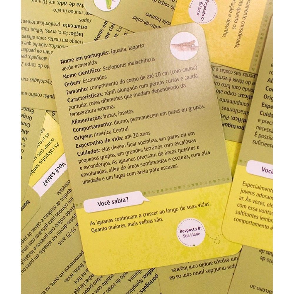 Jogo 50 Bichos de Estimação - Asmodee - Imagem 3