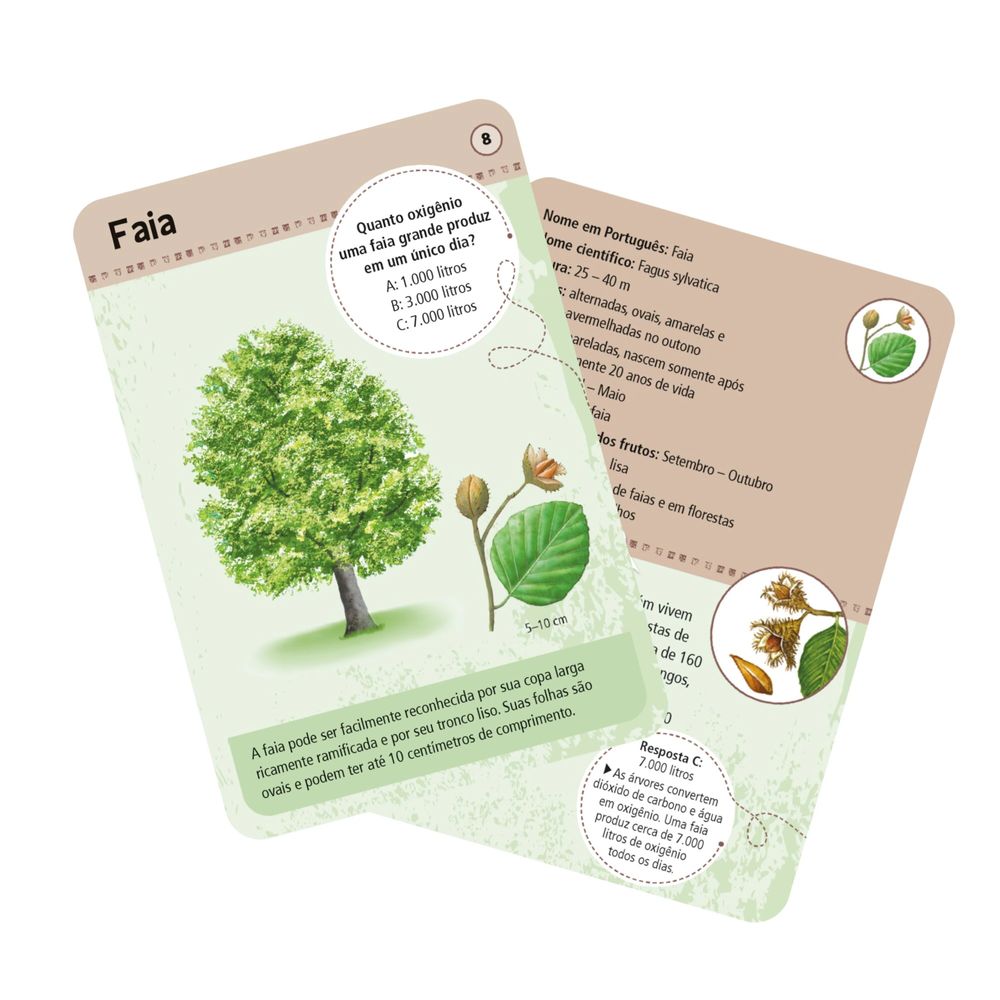 Jogo 50 Árvores - Asmodee - Imagem 2