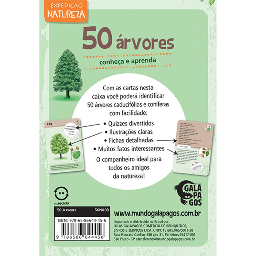 Jogo 50 Árvores - Asmodee - Imagem 3