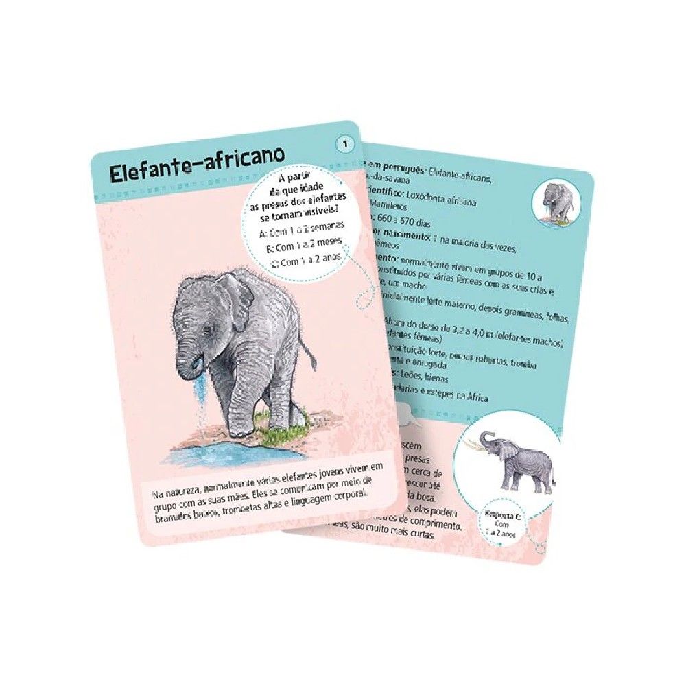 Jogo 50 Filhotes - Asmodee - Imagem 2