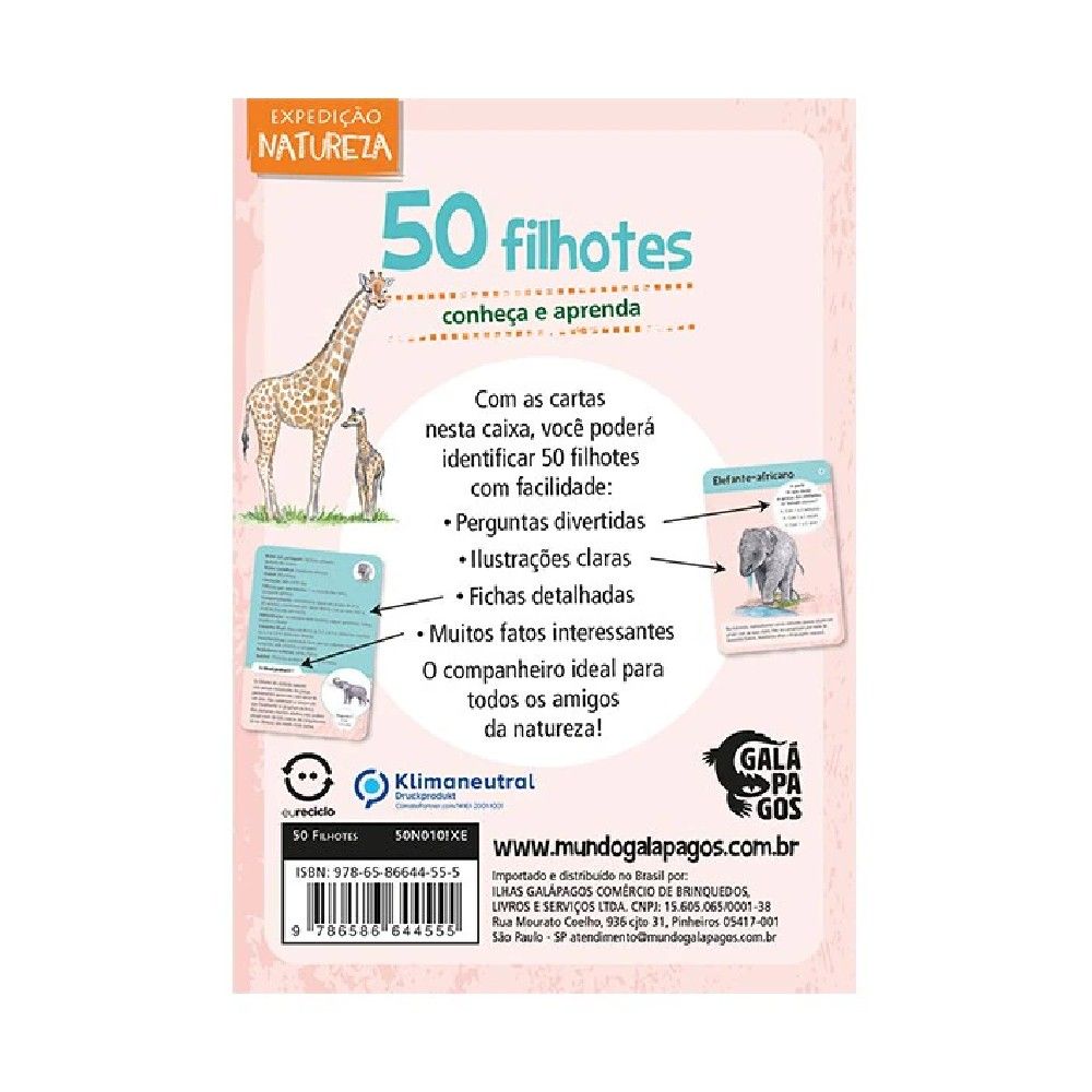 Jogo 50 Filhotes - Asmodee - Imagem 3