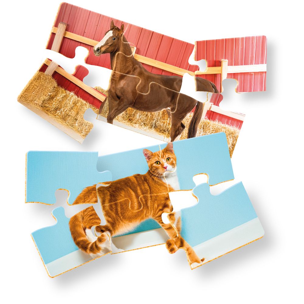 Jogo Desafio dos Quebra-Cabeças - Brincadeira de Criança - Imagem 2