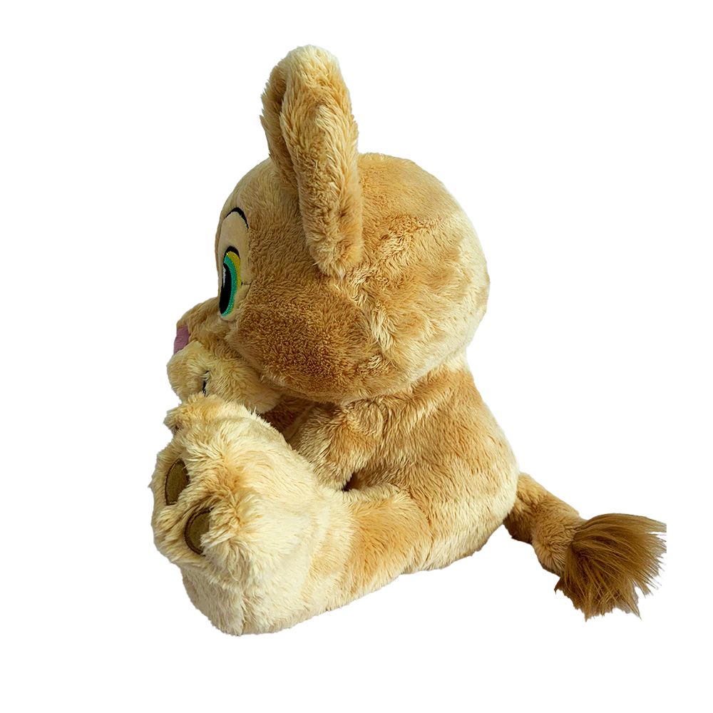 Pelúcia Disney Nala Big Feet 30cm - Fun Divirta-se - Imagem 3