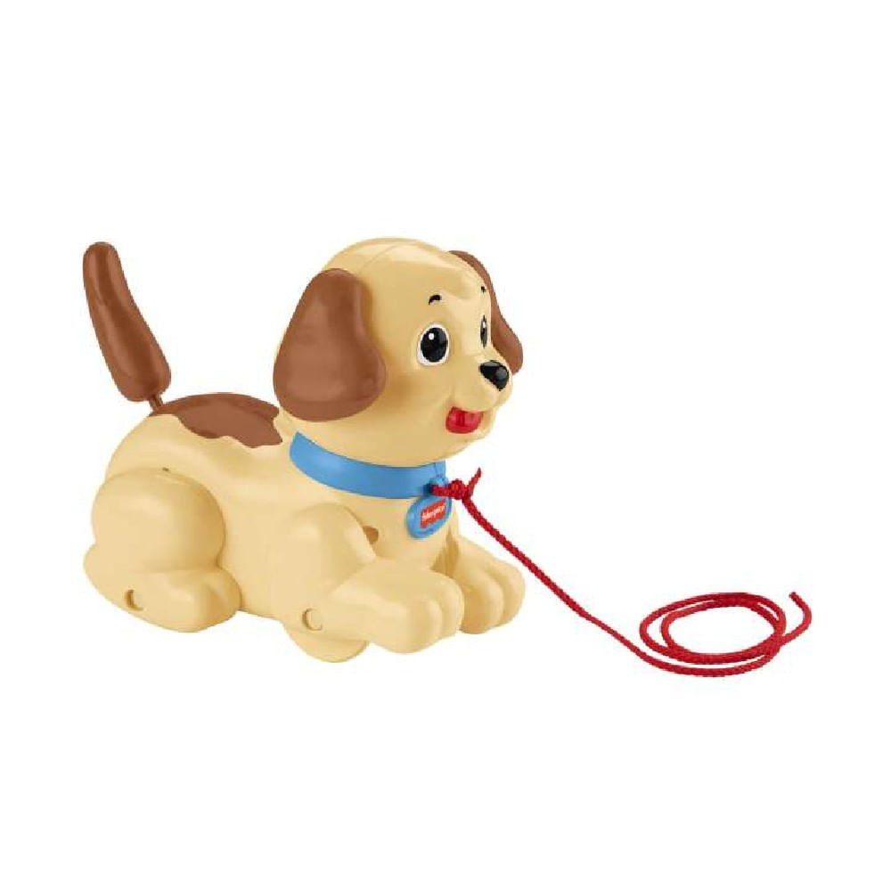 Fisher-Price Meu Primeiro Cachorrinho - Mattel